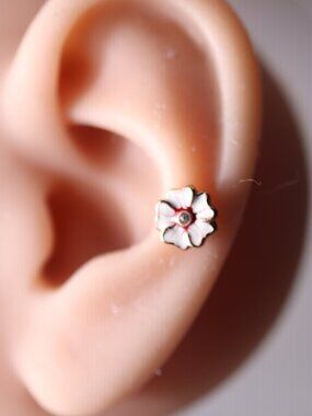 Cute White Habiscus Flower Barbel Piercing rose goldplated New !